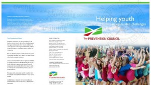 2013 prevention accomplishments